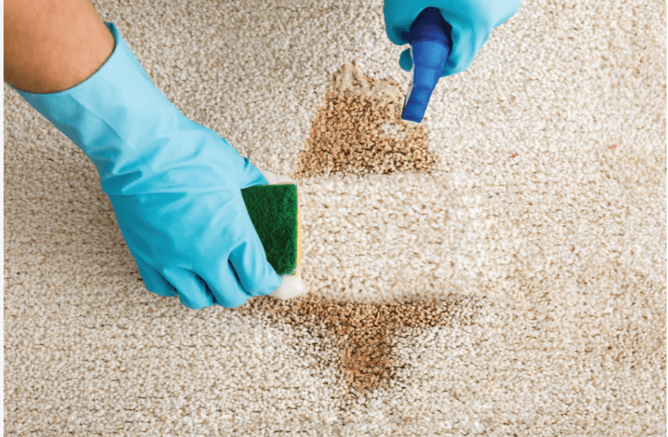 Carpet Cleaning