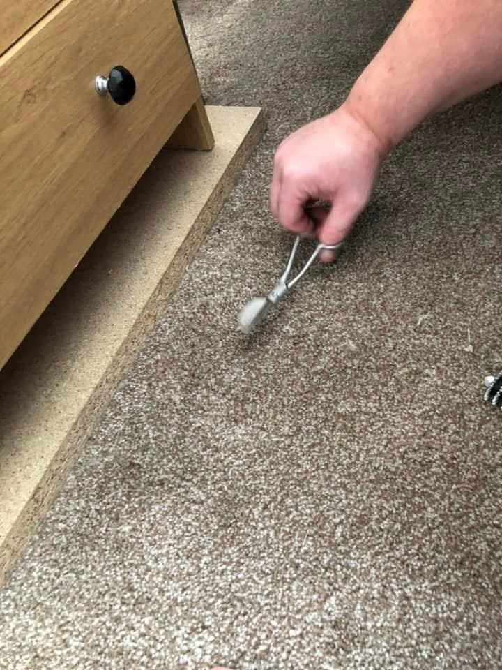 Professional carpet cleaning in progress