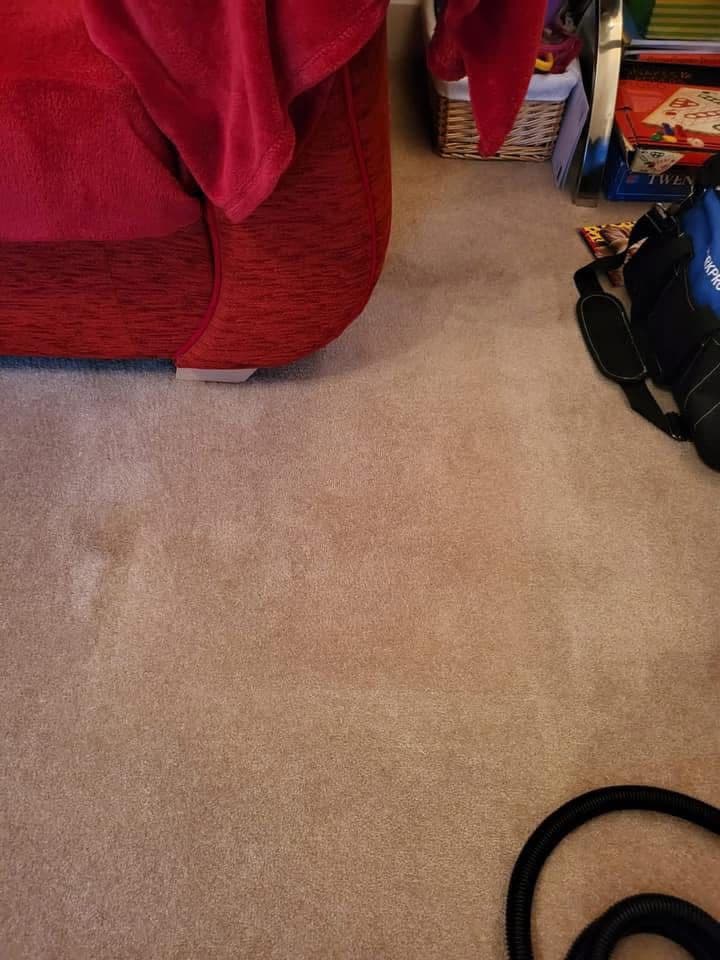Clean carpet after stain removal