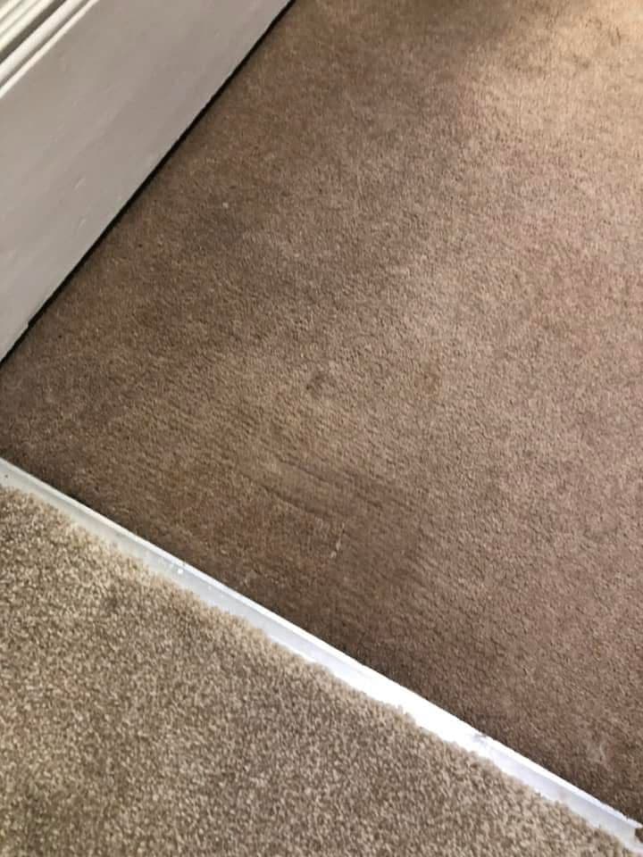 Clean beige carpet after professional cleaning
