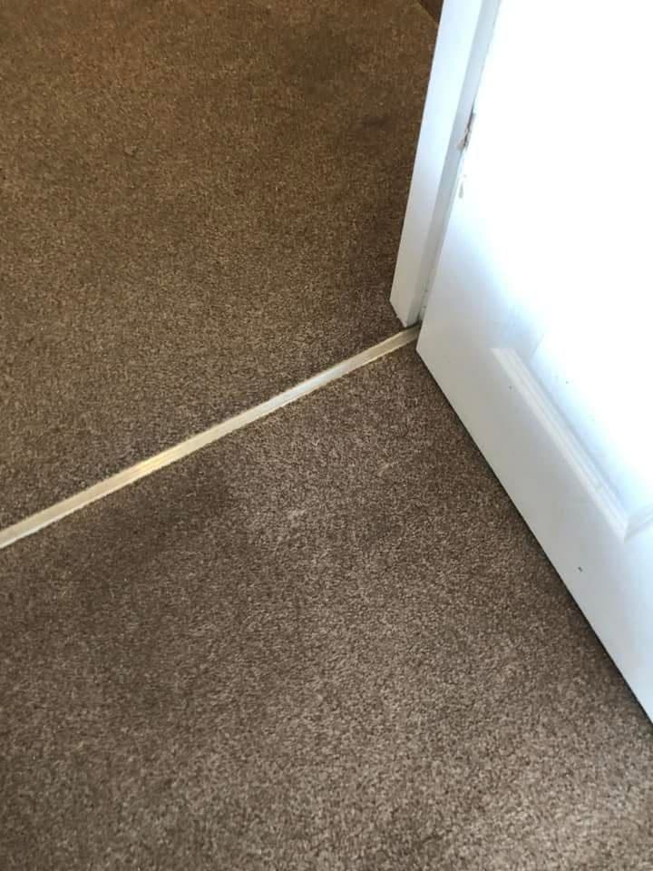 Beige carpet at door threshold after cleaning