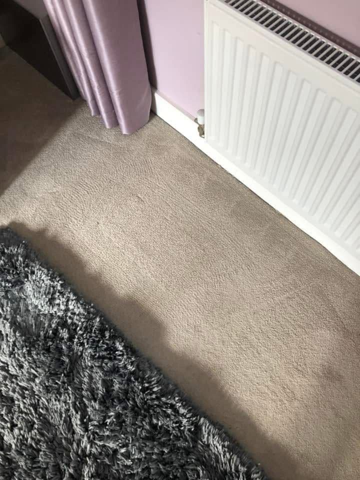 Beige bedroom carpet clean after treatment