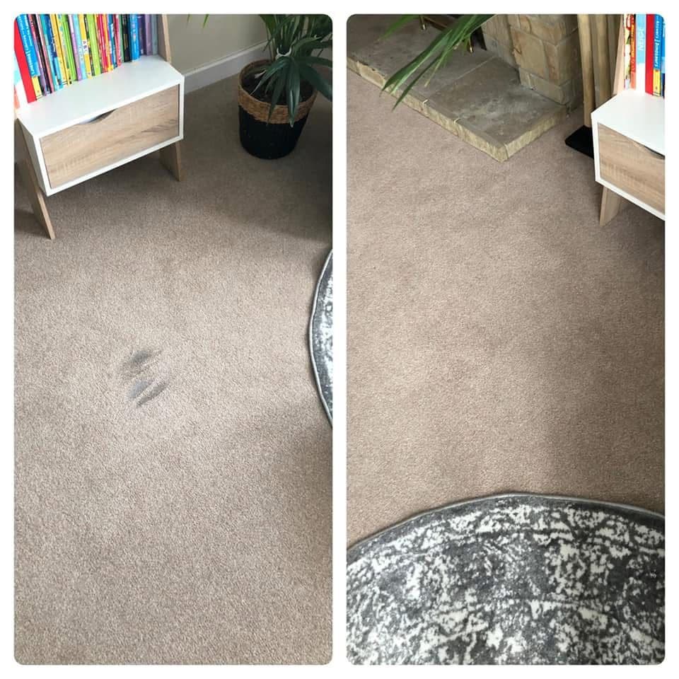 Carpet marks before and after professional cleaning
