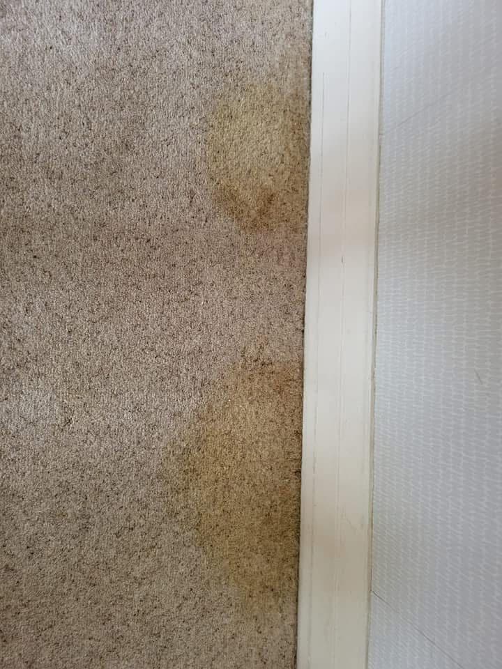 Carpet with dark stain before cleaning