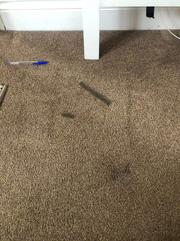 Multiple stains on carpet before cleaning