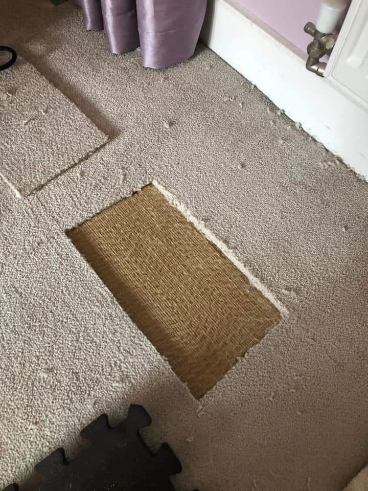 Carpet with large damage section before repair