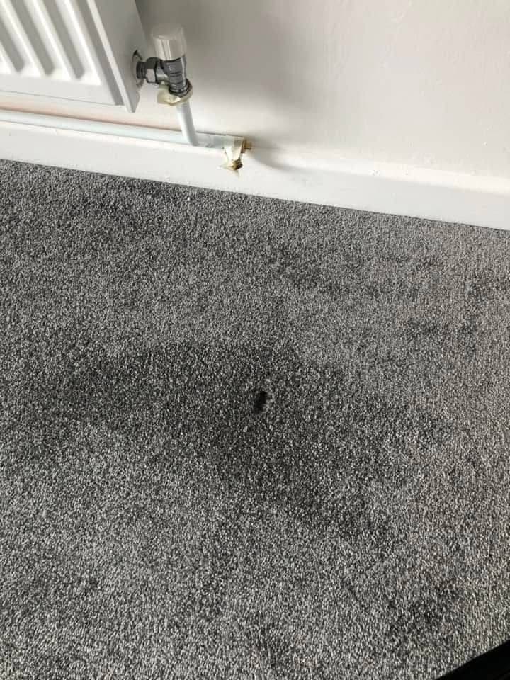 Dark stain on grey carpet near radiator before cleaning