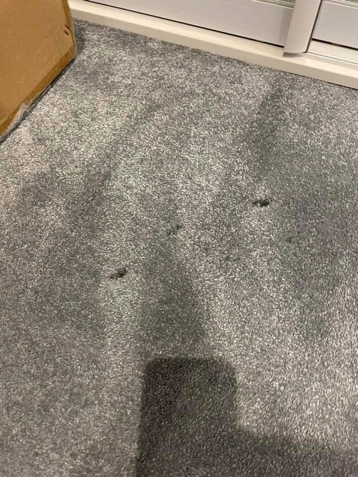 Grey carpet with dirty marks before cleaning