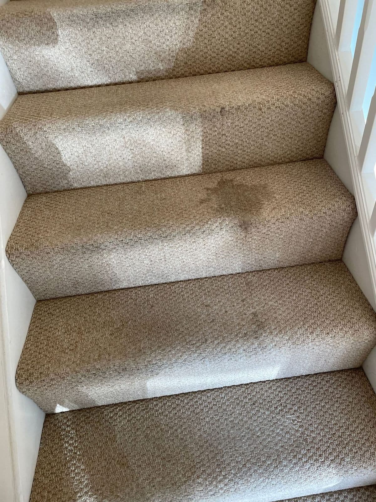 Stair carpet with staining and marks before professional cleaning