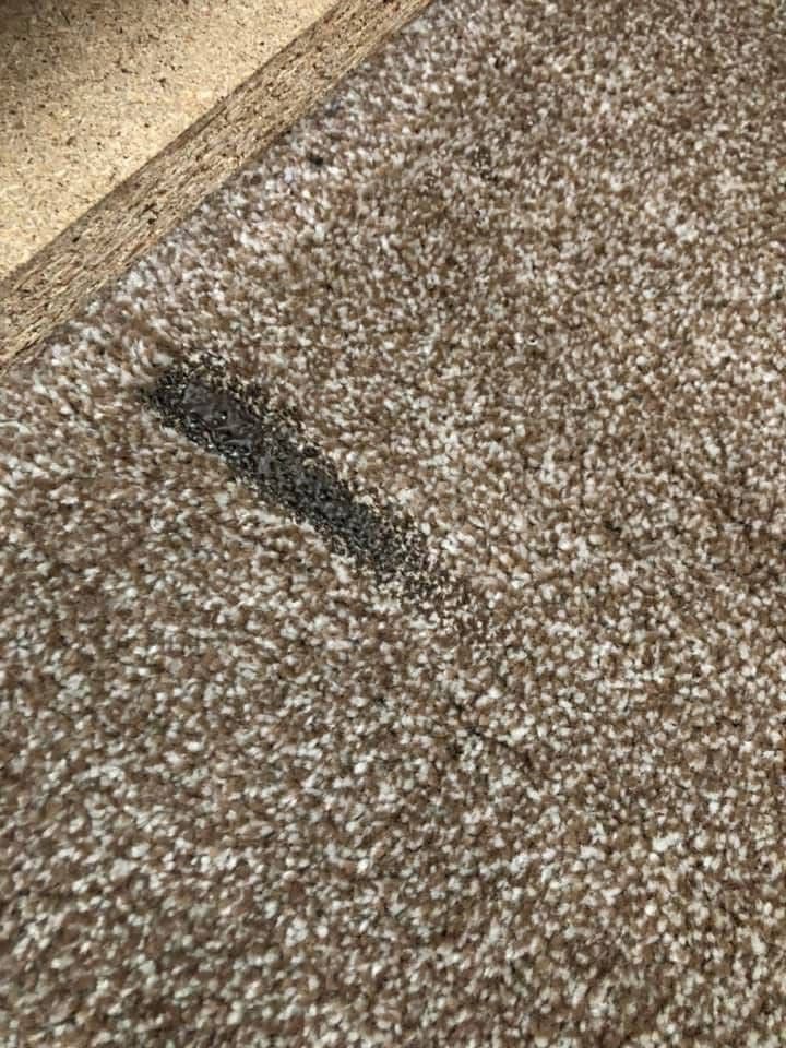 Black burn mark on beige carpet before treatment