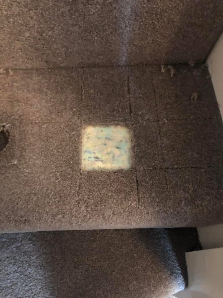 Stain on dark carpet before cleaning