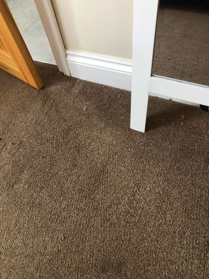 Dirty brown carpet before deep clean