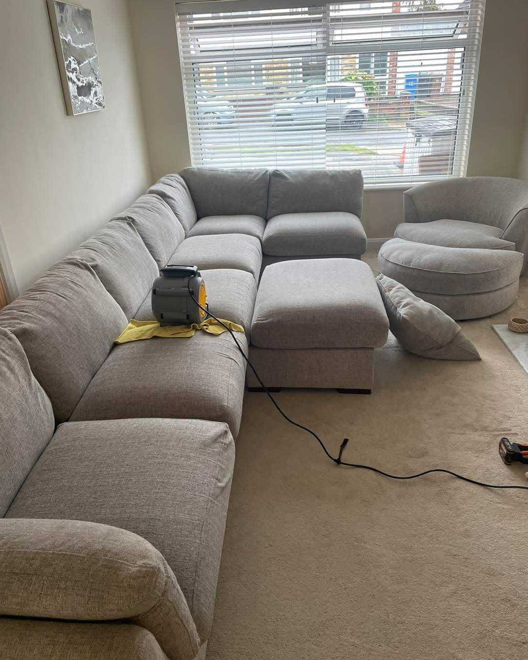 Upholstery Cleaning